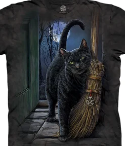 Fashion A Brush With Magic Classic Cotton T-Shirt T-Shirt | Practical Magic