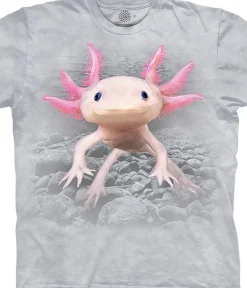 Sale Axolotl Classic Cotton T-Shirt T-Shirt | Reptiles And Amphibians