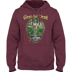Discount Celtic Bertha Hoodie Hoodie | Grateful Dead Celtic Bertha