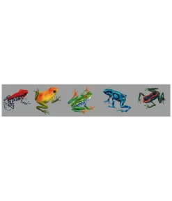 New Frogs Of The Rainforest Sticker Aquatic