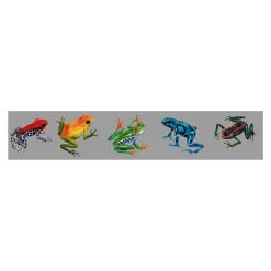 New Frogs Of The Rainforest Sticker Aquatic