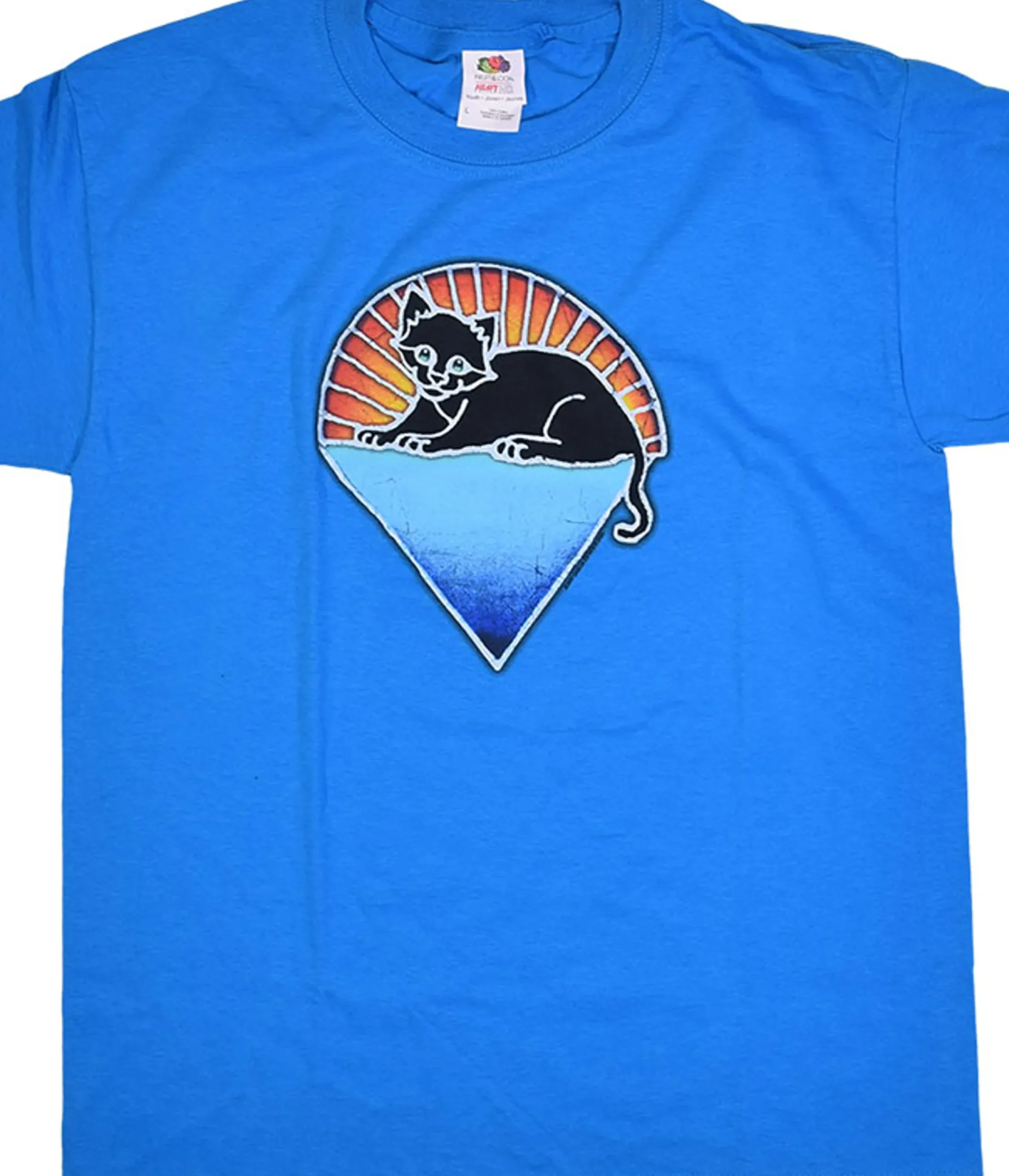 Best Steal Your Kitty Youth Blue T-Shirt Kids Youth | Grateful Dead